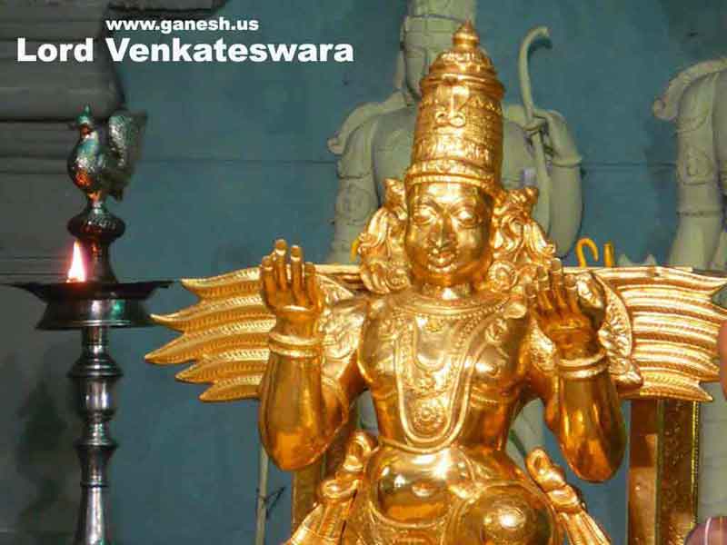 Lord Sri Venkateswara Swamy Pictures 