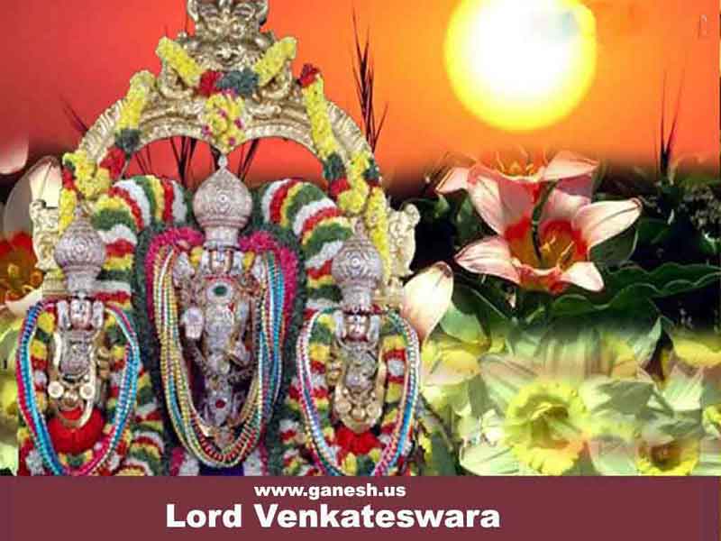 Lord Sri Venkateswara Swamy Pictures 