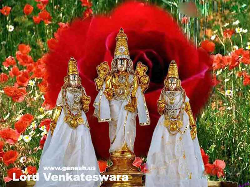 Lord Venkateswara Golden Image 