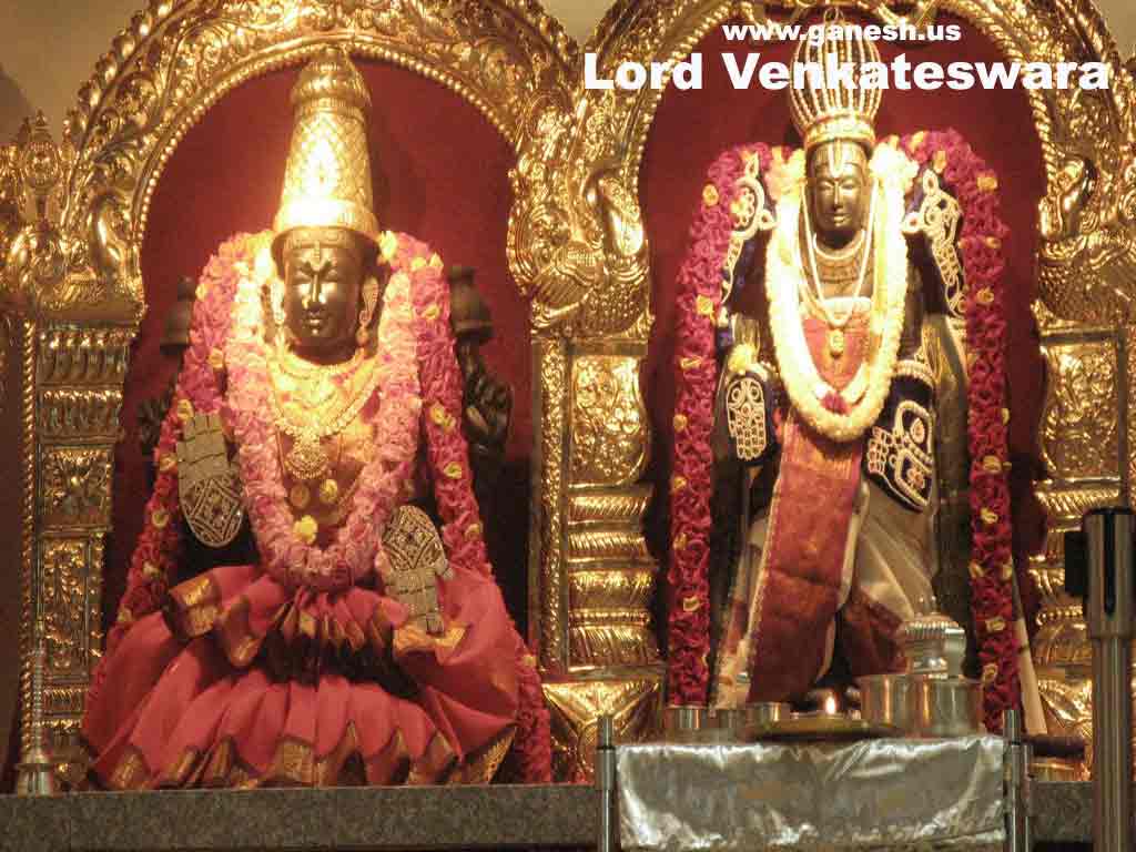 Free Lord Venkateswara Wallpaper 