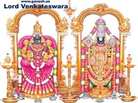 Free Lord Venkateswara Wallpaper 