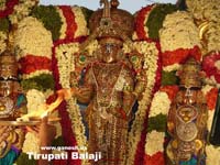 Shri Lord Venkateswara - Balaji
