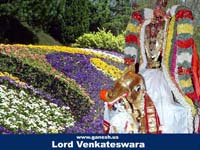 Deity Info - Lord Thirupathi Balaji 