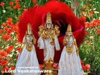 lord balaji Pics 