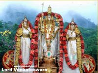 Lord Venkateswara Wallpapers