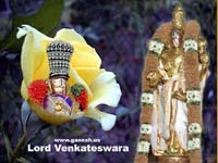 Free Lord Venkateswara Wallpaper 