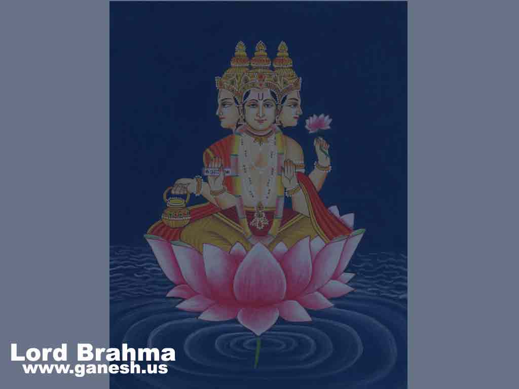 brahma-photo-snaps