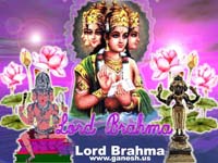 Bramha Kamal