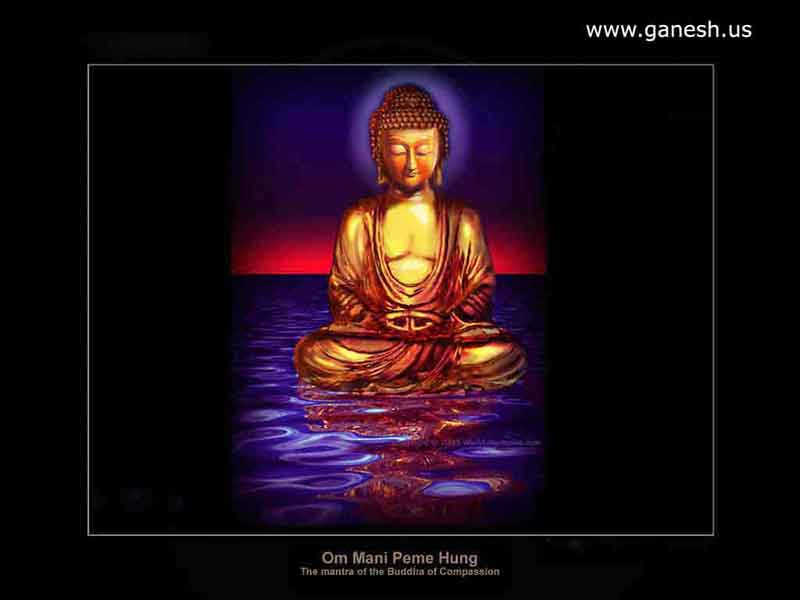 Buddha Photos And Images