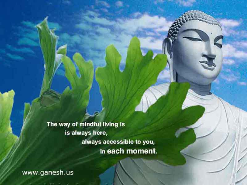 Lord Buddha Picture Gallery