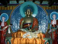 Images of Buddha, Buddha Quote