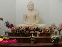 Decorative wallpapers of Buddha