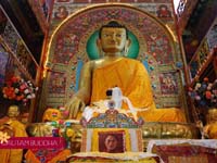 Lord Buddha : Buddha Purnima pictures