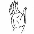 Abhaya Mudra