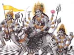 Shri Kalika Devi Wallpapers