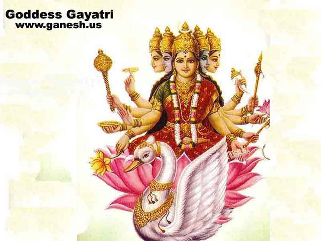 Deity Info - Goddess Gayatri Maa 