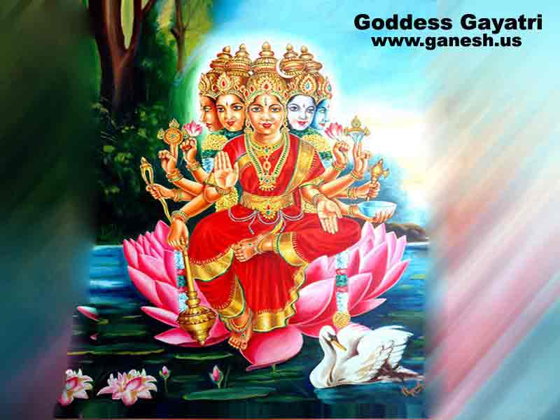 Wallpapers of Goddess Gayatri