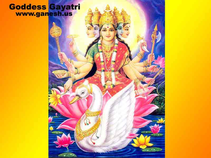 Hindu Goddesses : Gayatri 