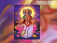 Hindu Goddesses : Gayatri 