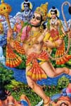 Lord Hanuman Pictures