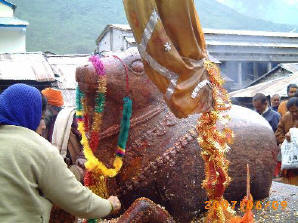 Nandi Bull at Kedarnath