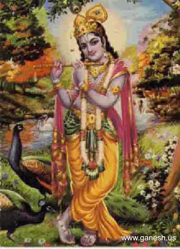 Radha-Krishna-Sakhis-Wallpaper Pictures