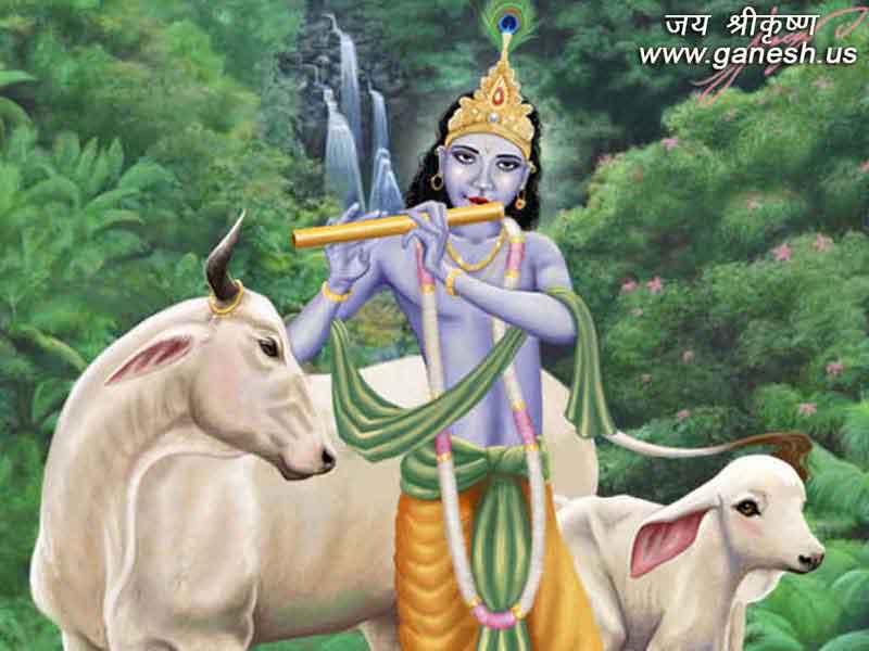 Lord Krishna Graphic Images