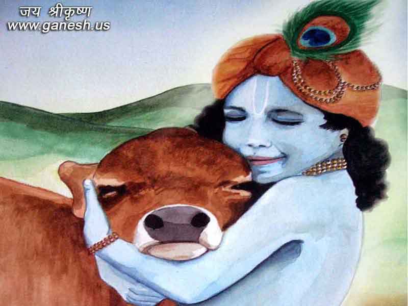 Janmashtami - Free Wallpapers