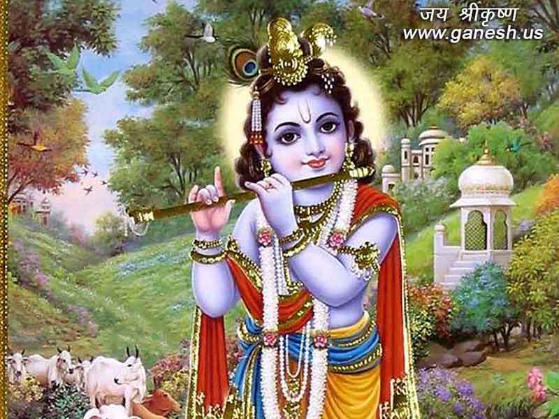 Shree Krishna Image gallery