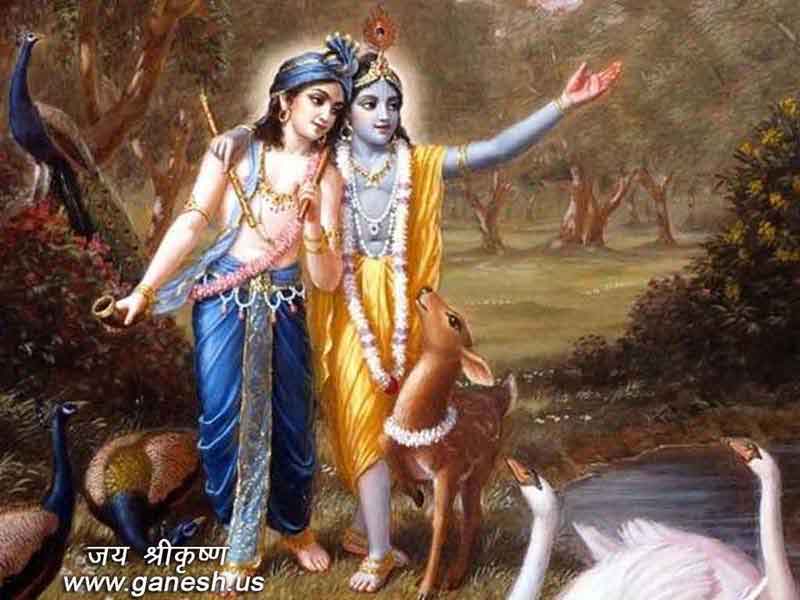 Extensive collection of Lord Krishna Wallpapers 