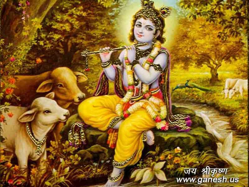 Sri krishna wallpapers