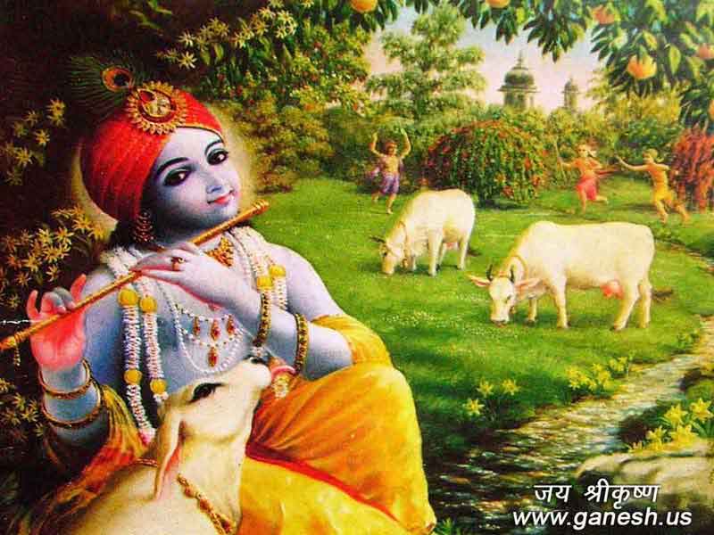 Lord Krishna Pictures & Wallpapers 