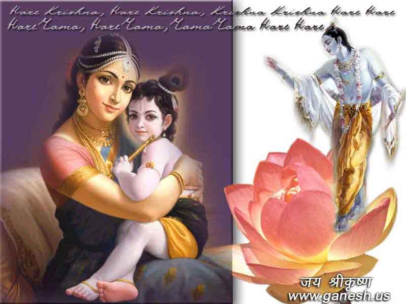 Shree Krishna Image gallery