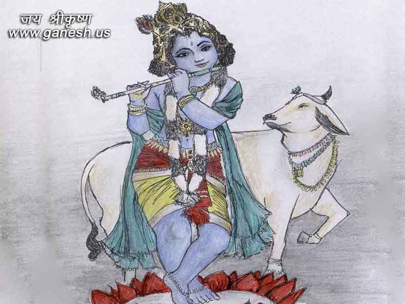 Lord Krishna Graphic Images