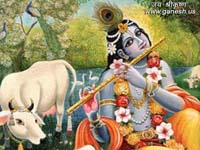 God Krishna Wallpapers