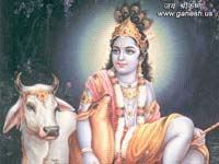 Krishna Wallpapers,Krishna Pics