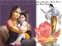 Images And Pictures Of Krishna