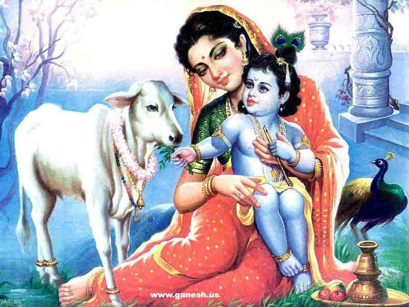 Wallpapers Govinda Janamshtami 