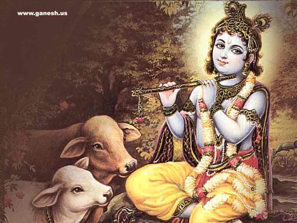 Wallpapers Backgrounds Krishna