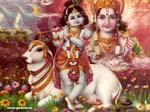 Wallpaper Of Lord Krishna