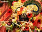 Krishna Pics and wallpapers