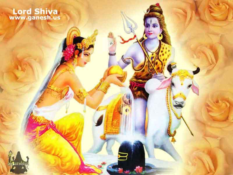 Filmography & Shiva Wallpapers